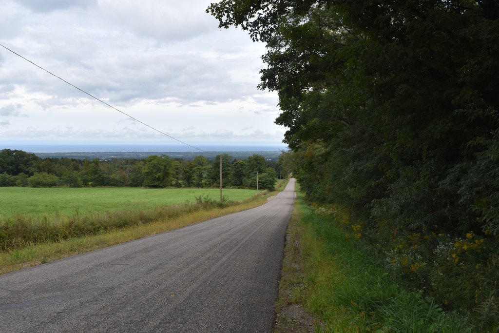 Picture 19