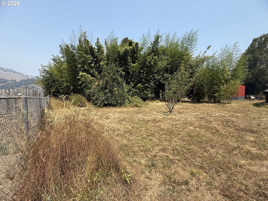 Picture 15