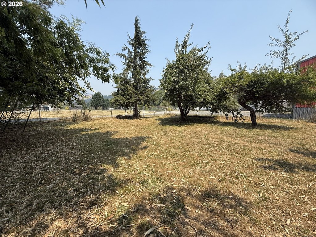 Picture 23