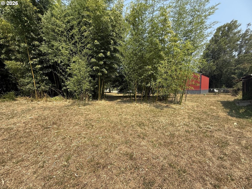 Picture 17