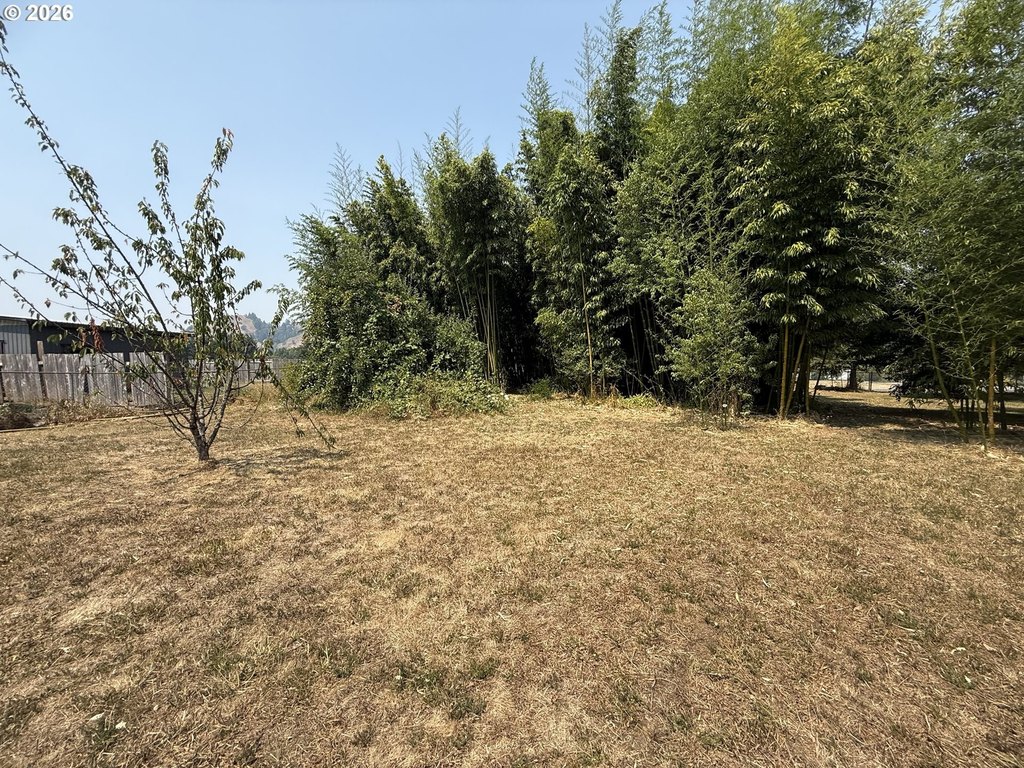 Picture 13