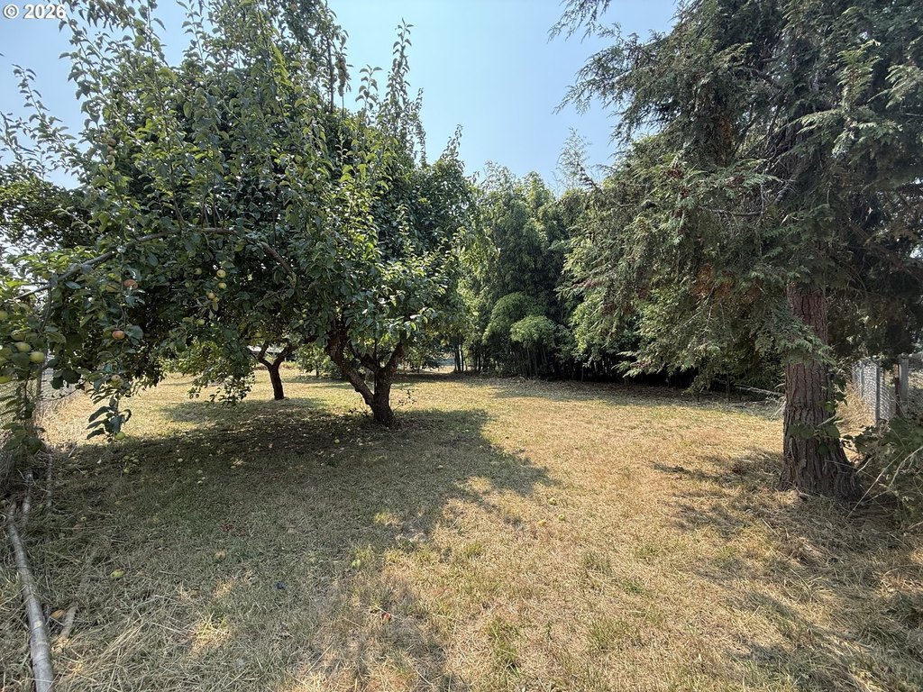 Picture 22