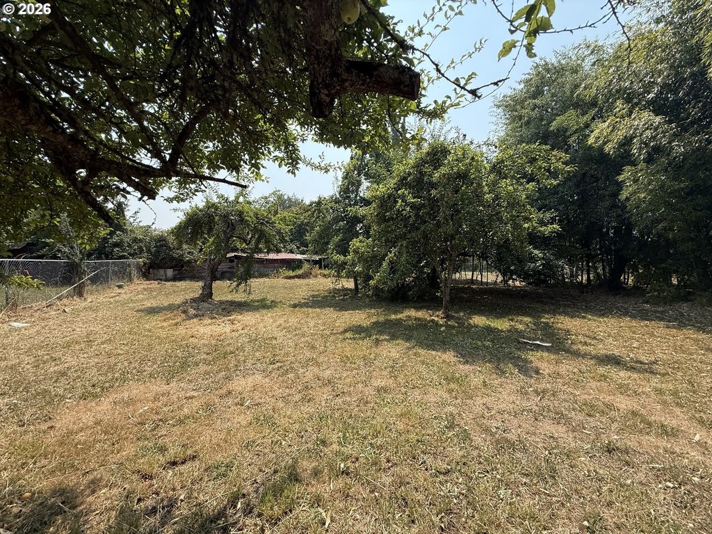Picture 20