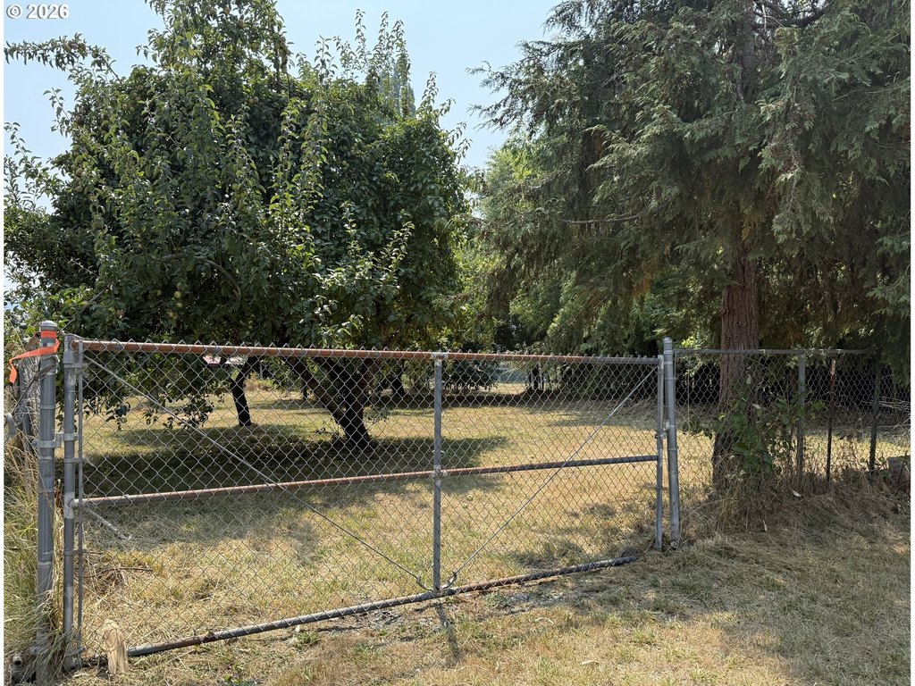 Picture 26
