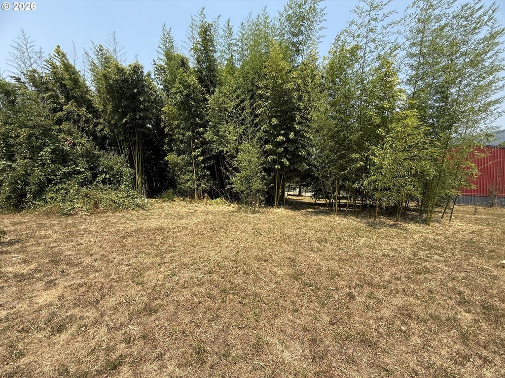 Picture 18