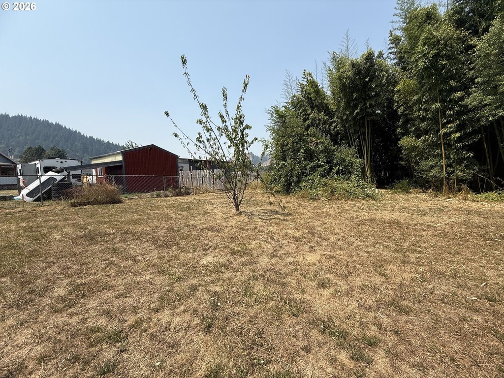 Picture 14