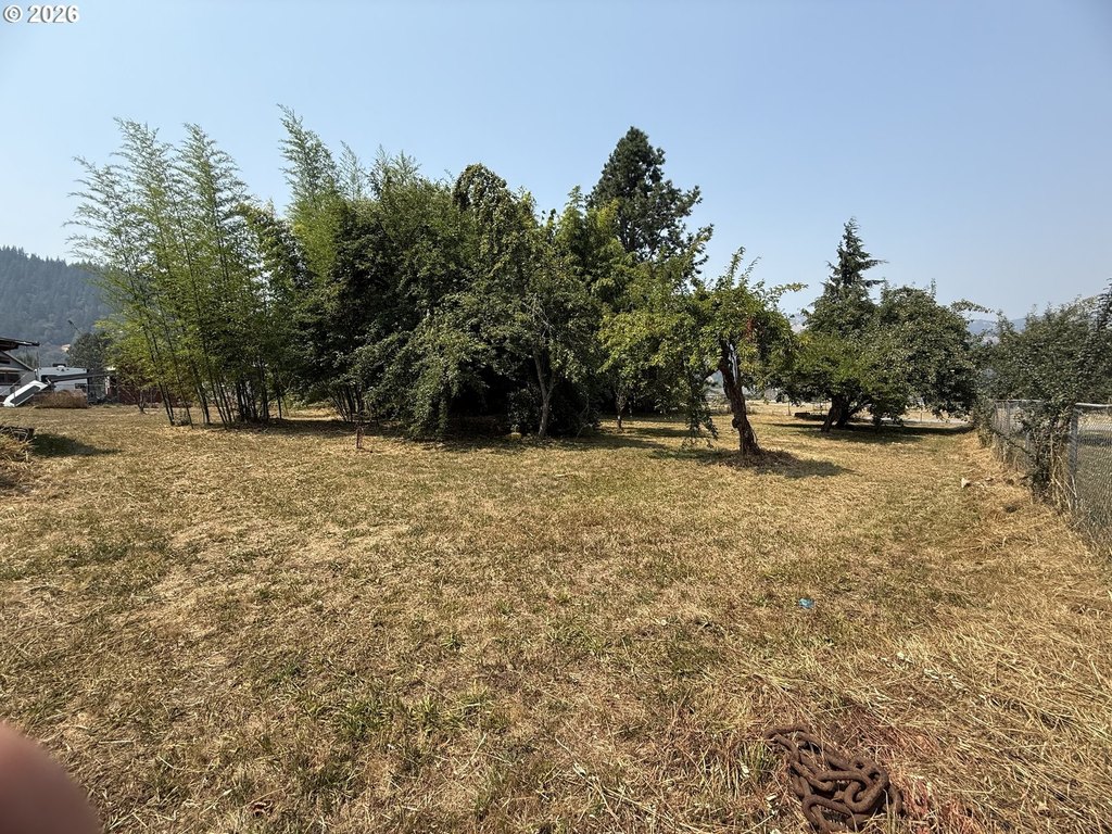 Picture 16