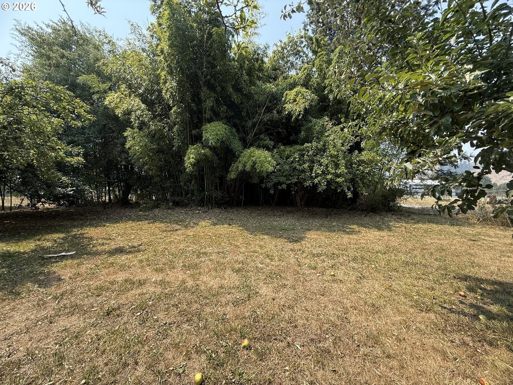 Picture 19