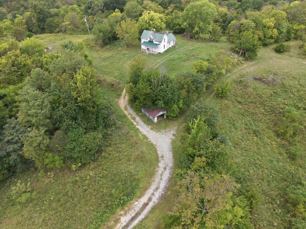 Picture 14