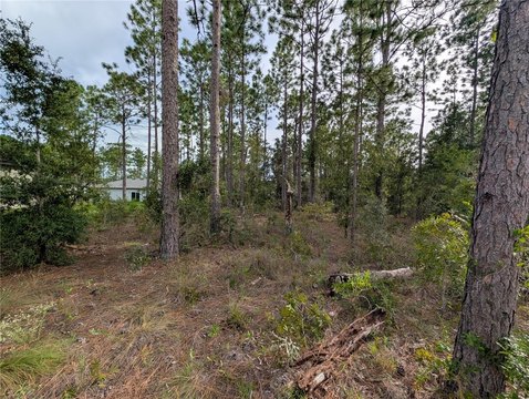 Land, CITRUS SPRINGS, FL