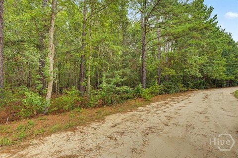 Land, Pembroke, GA