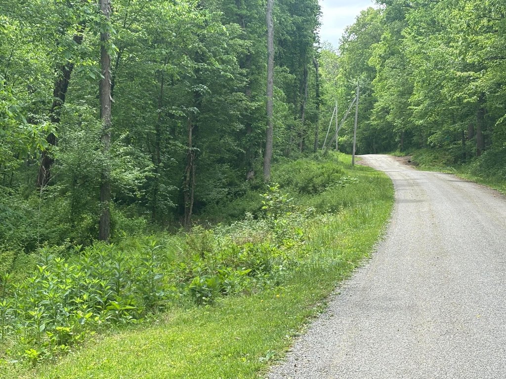 Picture 6