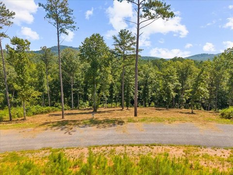 Creek Front Lot, Talking Rock, GA