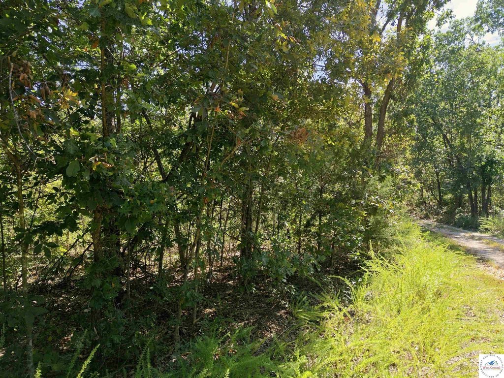 Picture 12