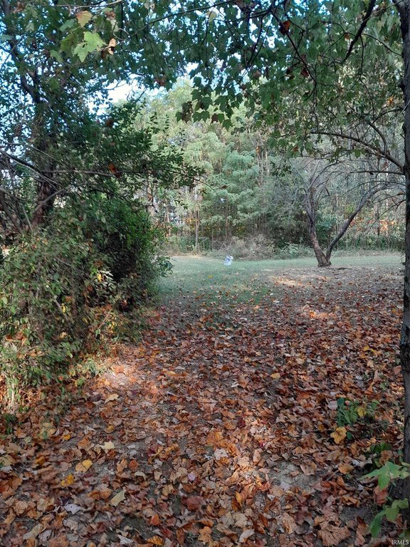 Picture 4