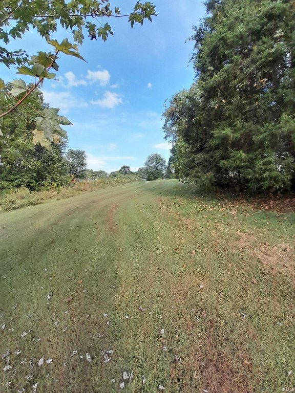 Picture 6