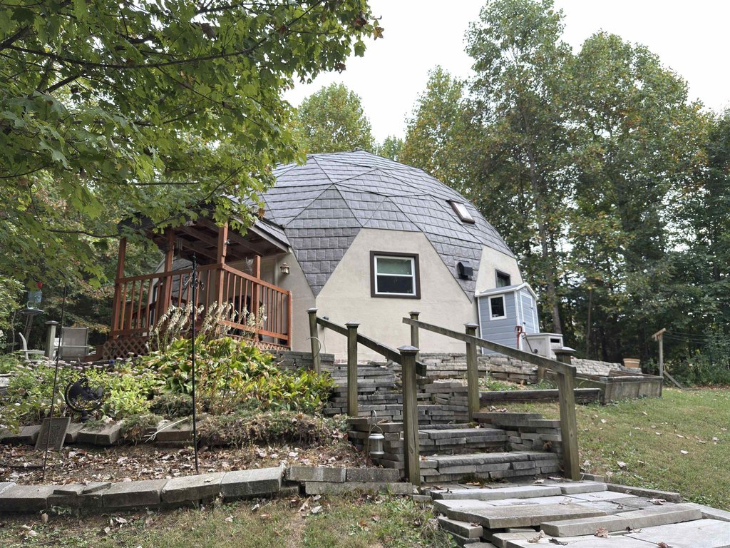 Picture 8