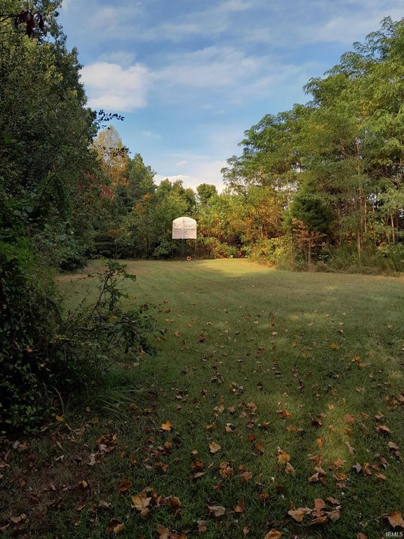 Picture 2
