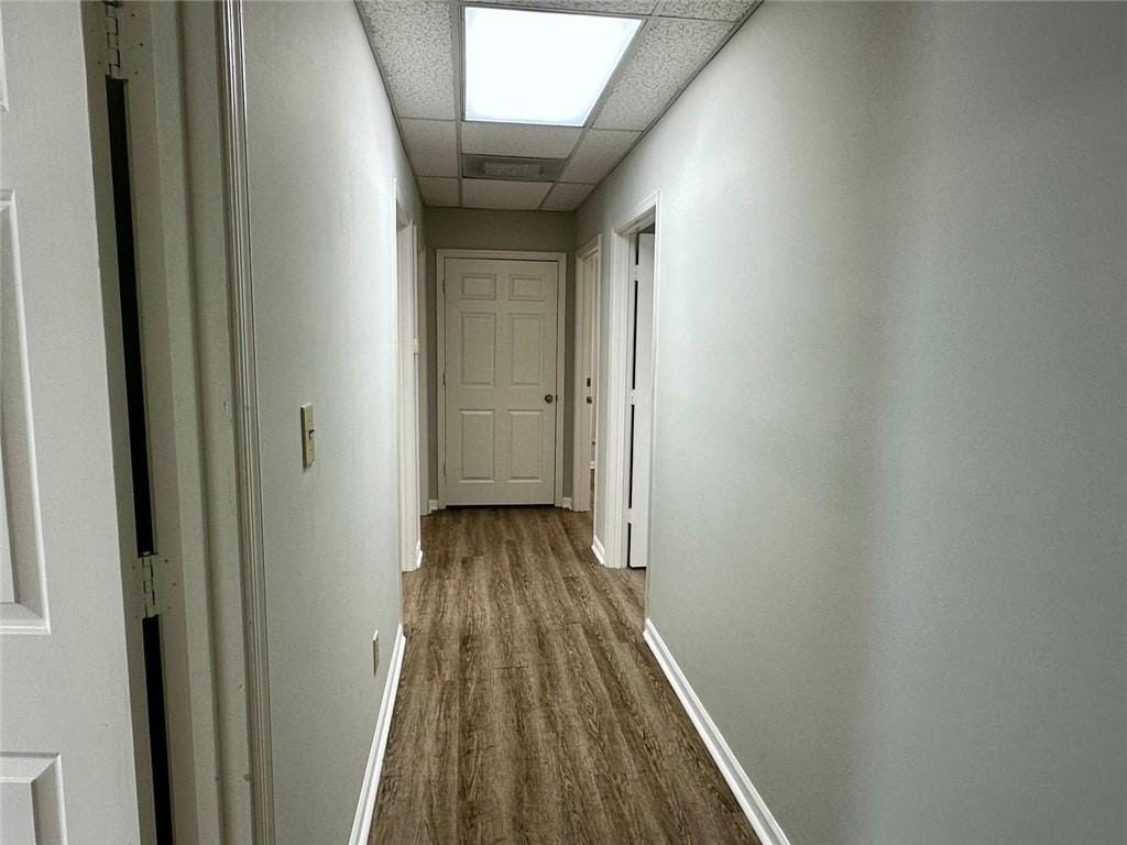 Picture 5