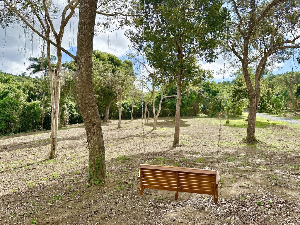 Picture 12