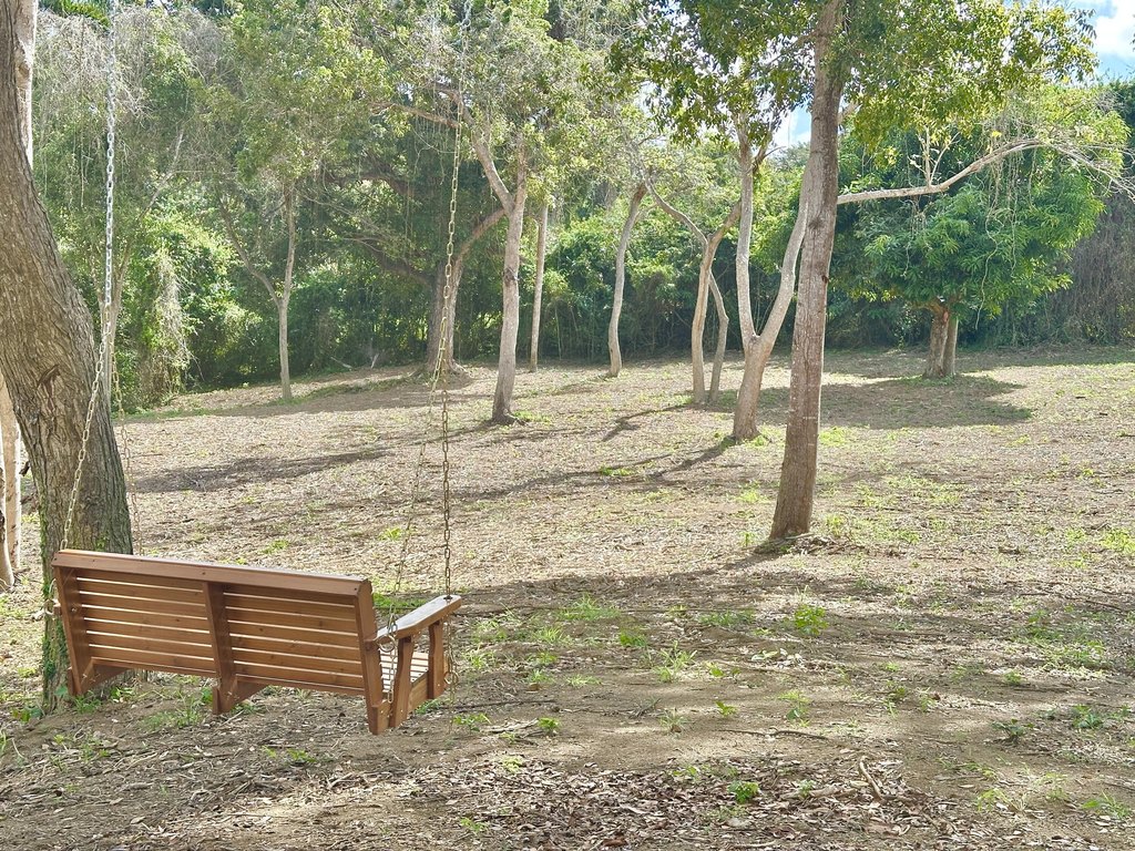Picture 18