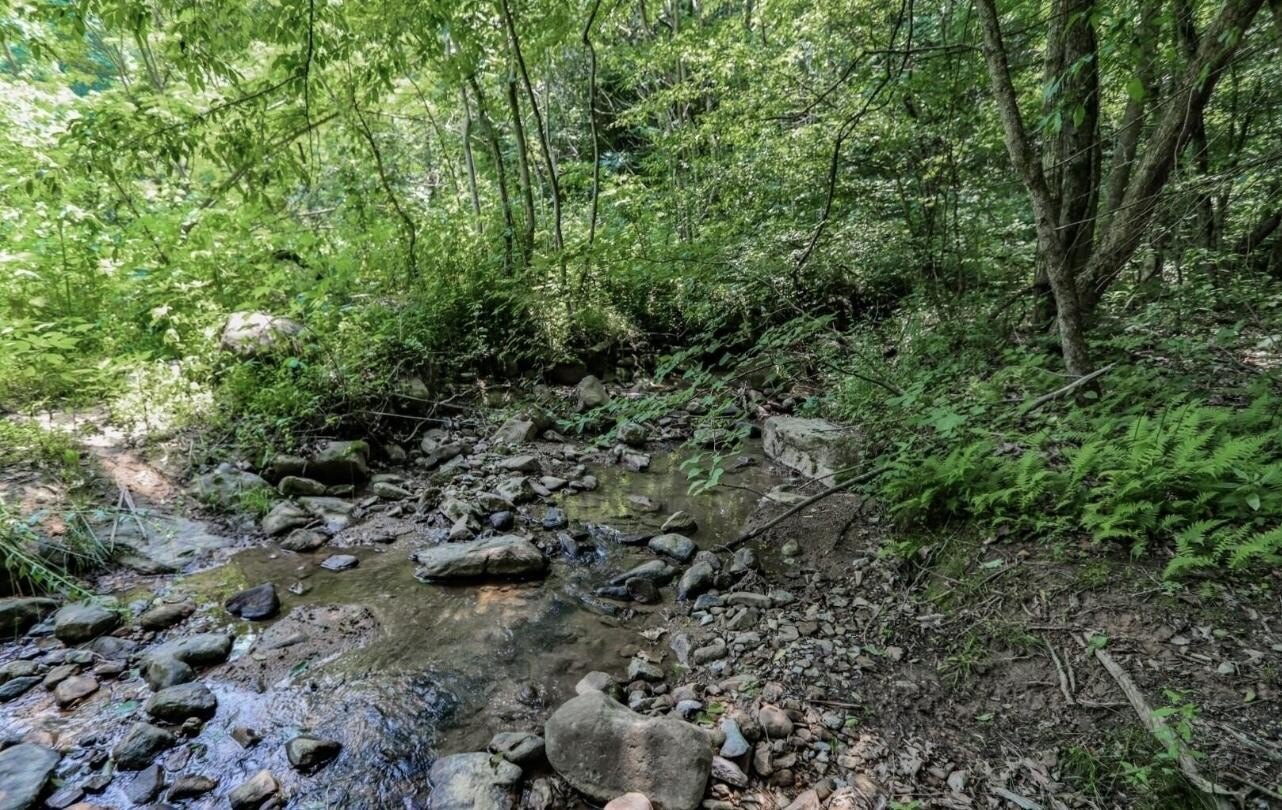 Unrestricted Land in Cosby, Tennessee