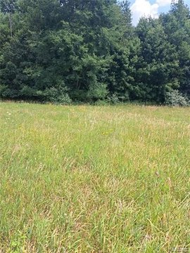 LAND - Imlay Twp, MI