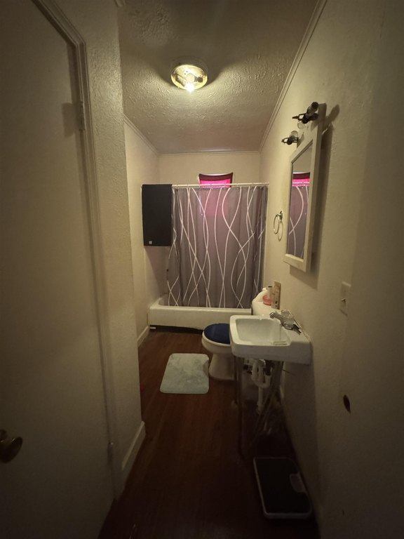 Picture 16