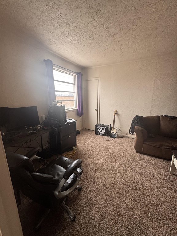 Picture 13