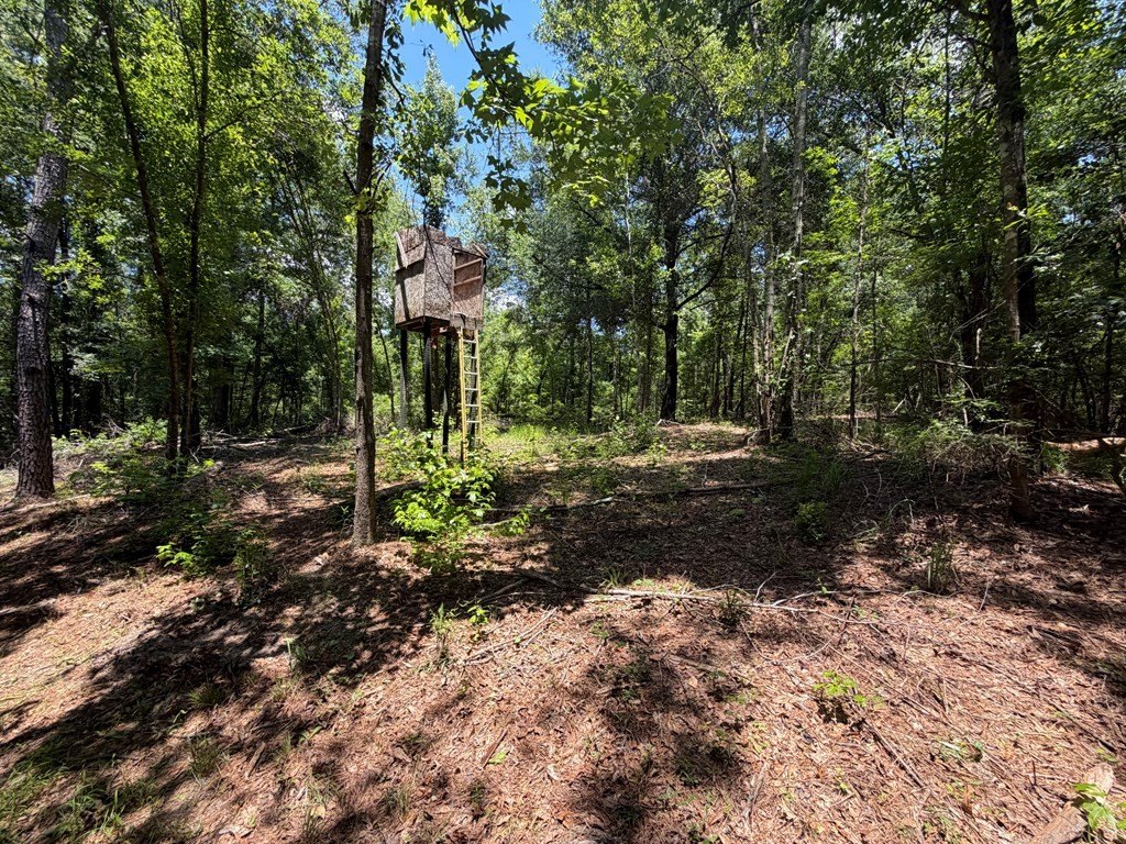 Picture 18