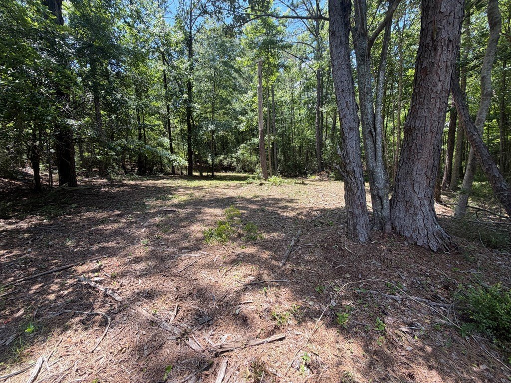 Picture 17