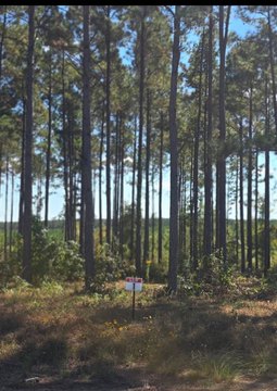 Semi-Restricted Recreational Lot
