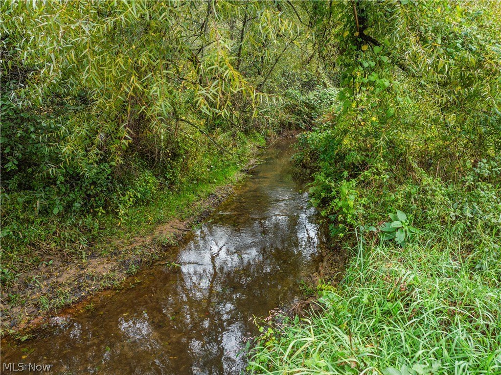 Picture 39