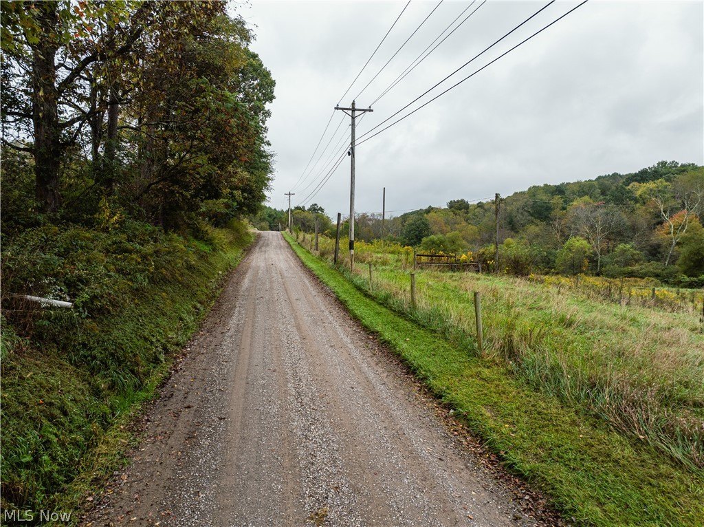 Picture 48