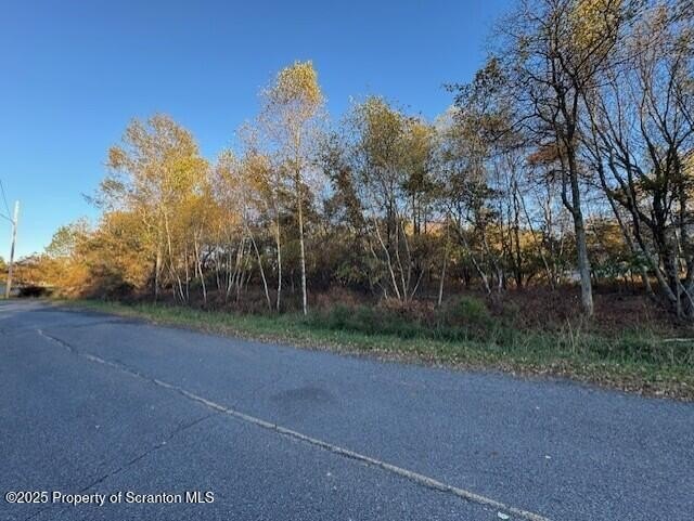 Wooded Lot in the Poconos