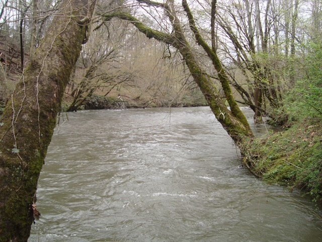 Picture 2