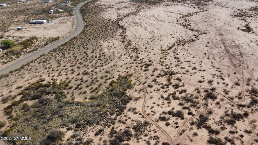 Picture 6