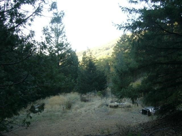 Picture 18