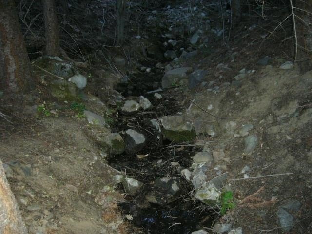 Picture 9