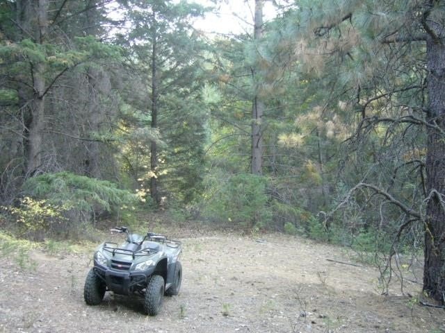 Picture 15