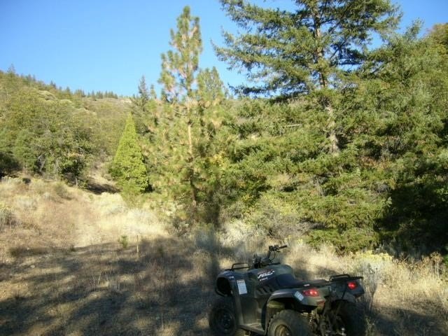 Picture 6