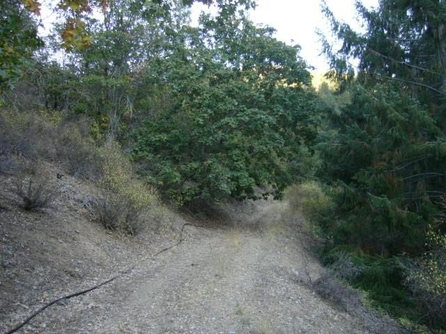 Picture 23