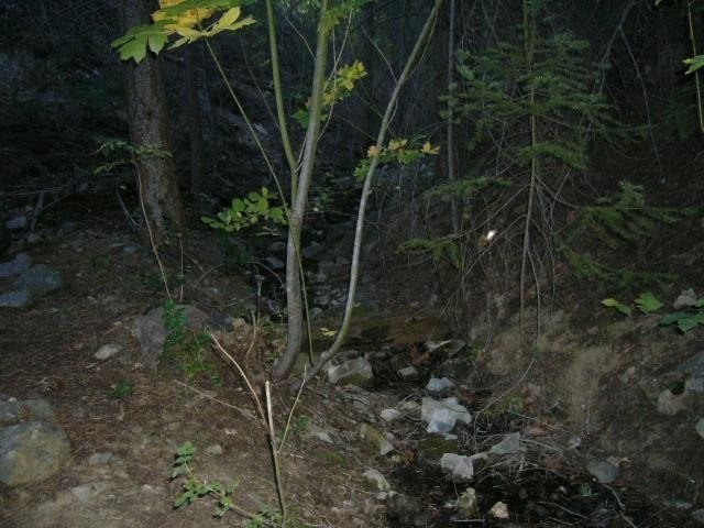 Picture 8