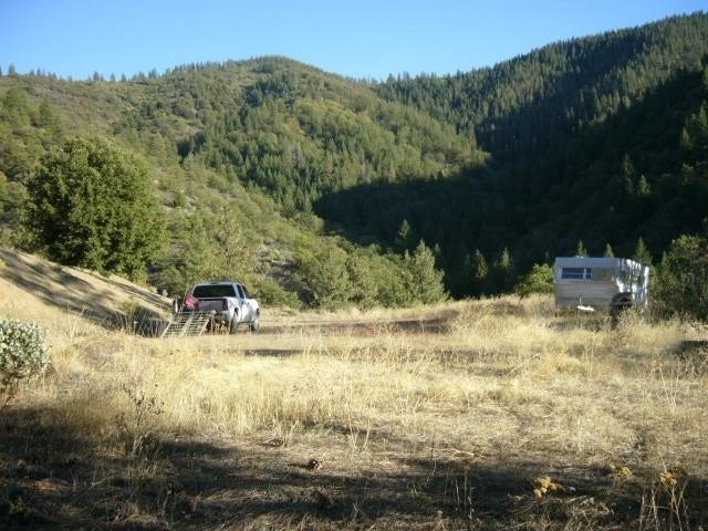 Picture 11