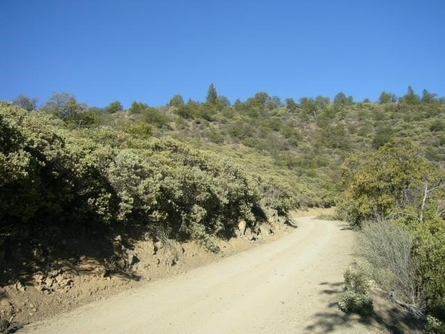 Picture 28
