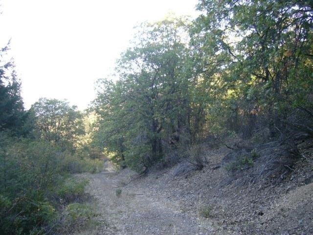 Picture 22