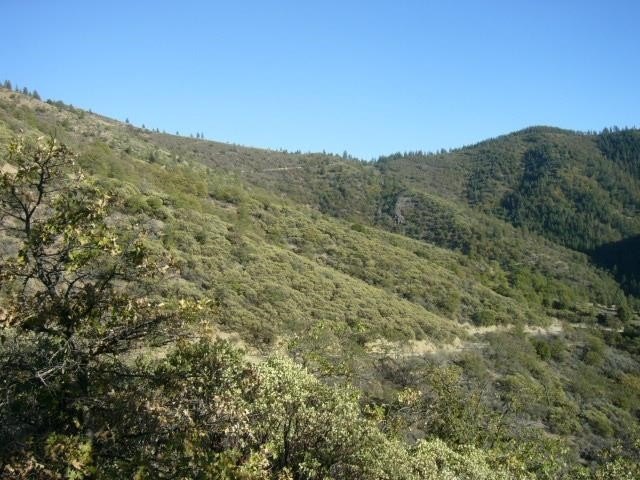 Picture 27