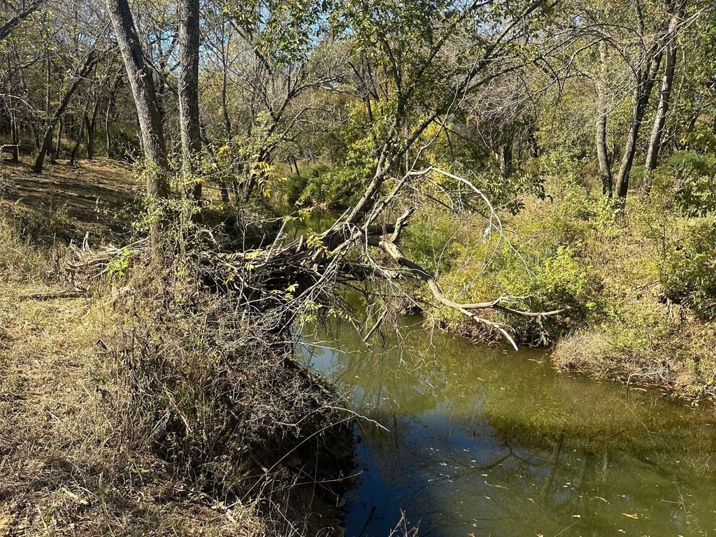 Picture 4