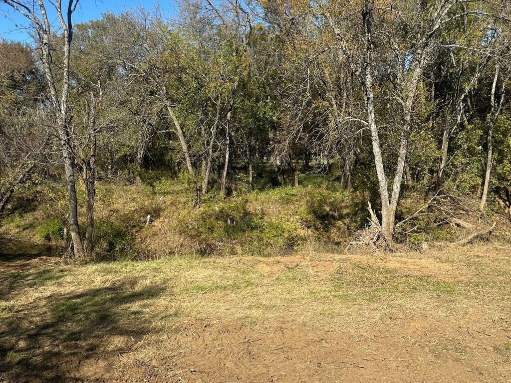 Picture 15