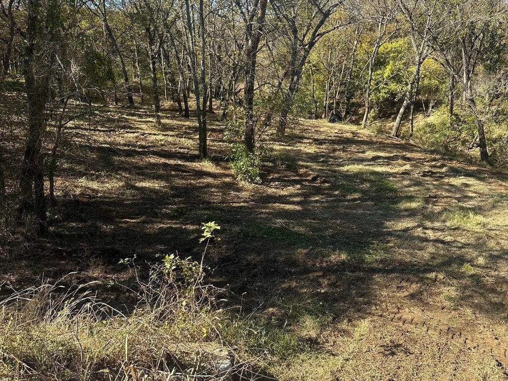 Picture 12